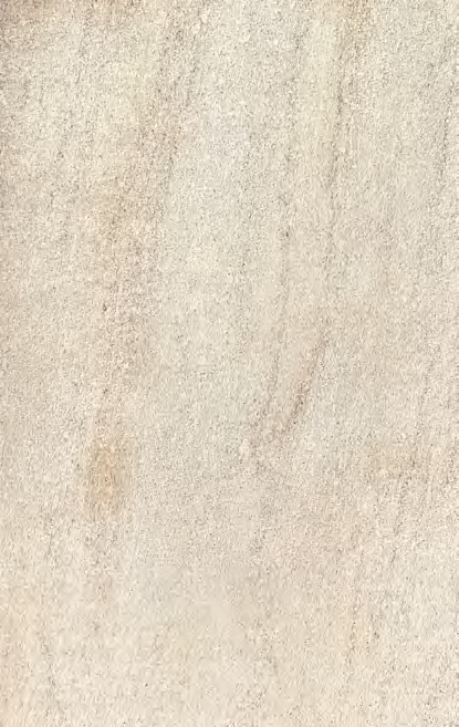 WPS图片(3).png