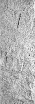 Stone Peel Panel