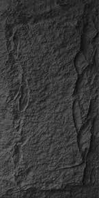 Shroom Stone Thin Style