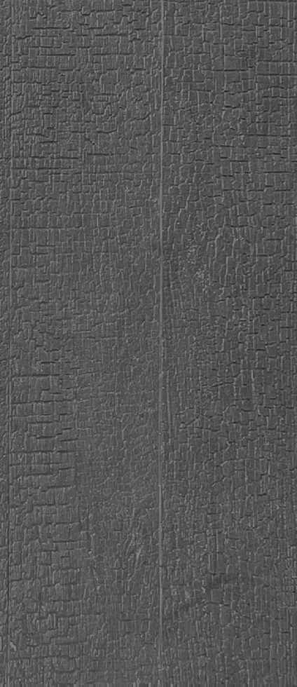 Charcoal  Burnt Wood