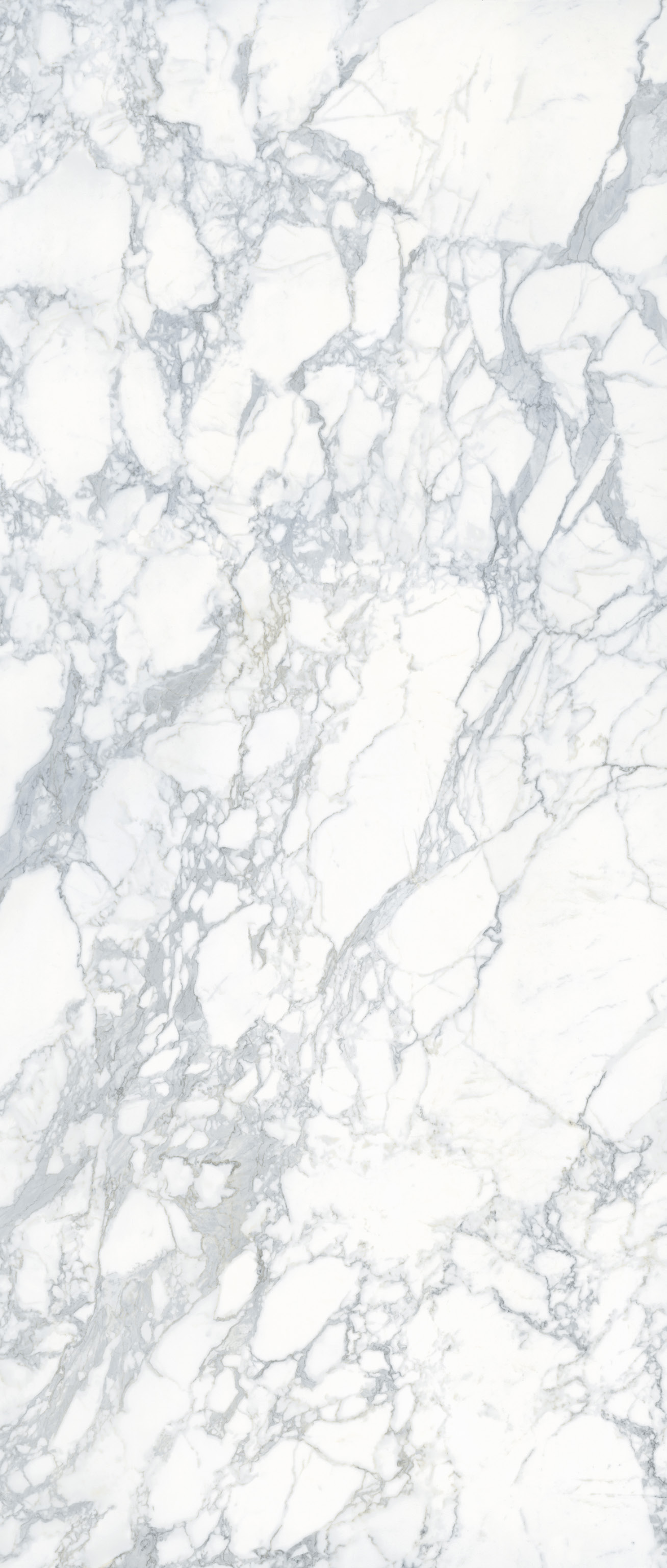 Carrara White