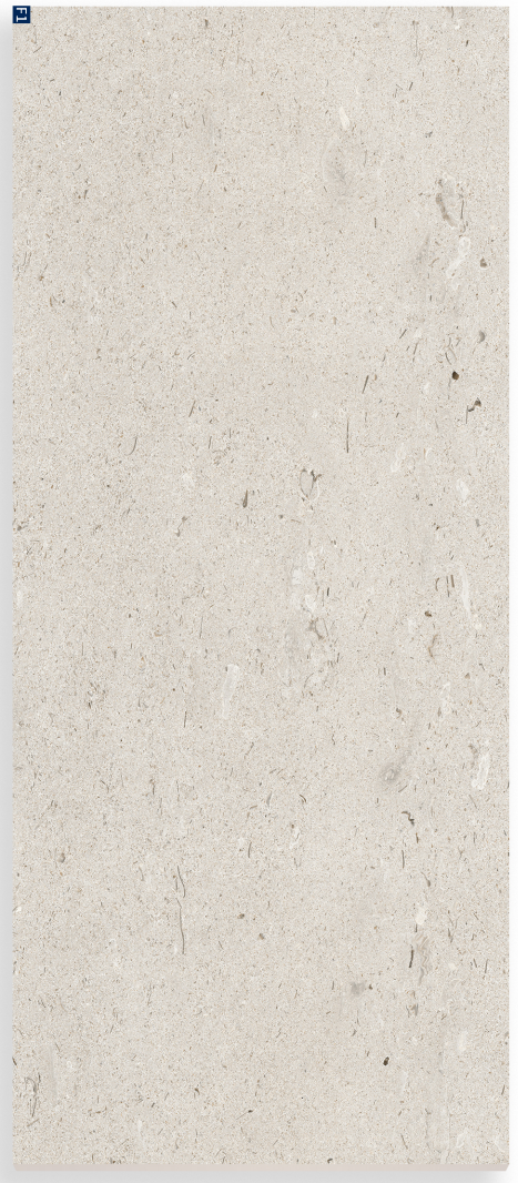 FOSSIL SHELL· BEIGE