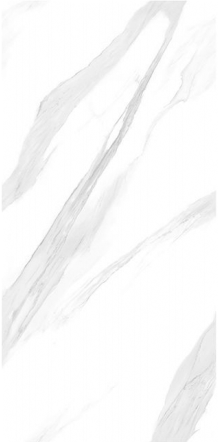 NEW FISH BELLY WHITE