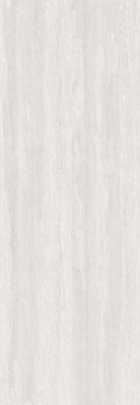 TRAVERTINE WOOD FOSSIL WHITE (BLACK)