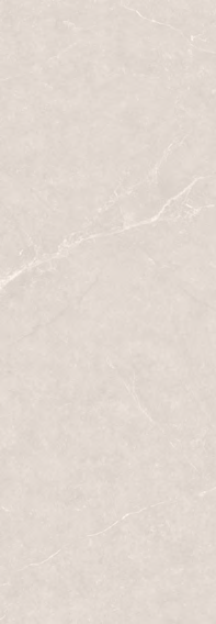 GLAMOUR GOLDEN SILK RICE WHITE (BLACK) SILVER SILK RICE WHITE (BEIGE / LIGHT GREY)